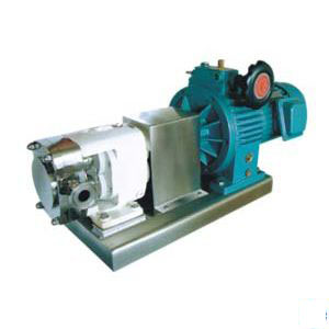 LQ型不锈钢转子泵